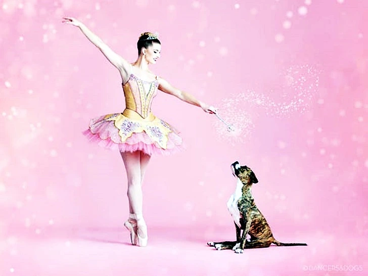 99C429455FD98E02120CB2