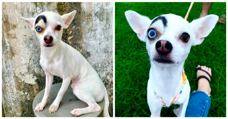 99C4BE3F5D5957BD266AD4