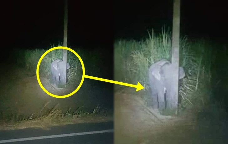 99E116375FB8CFB626C95A