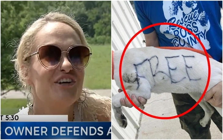 99B0BF375F79745B351303