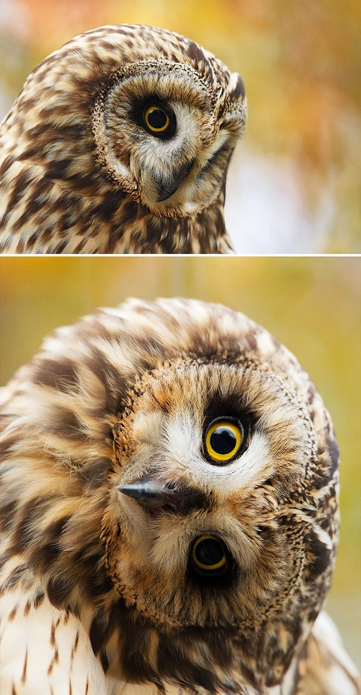 99D695505FF655F606A1F5