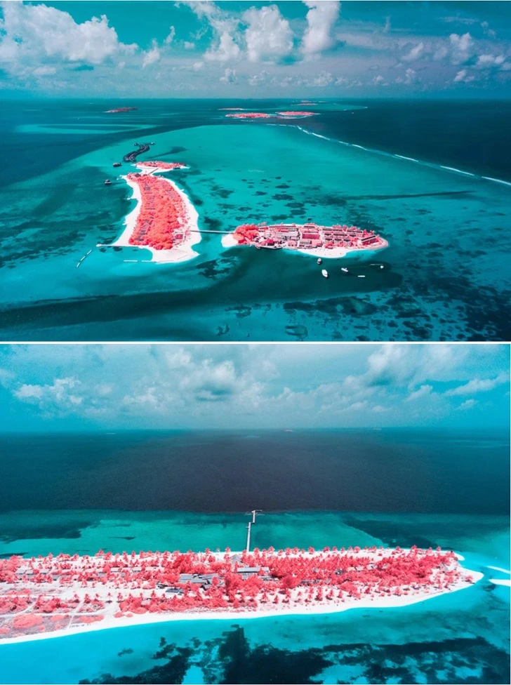 993DCE465CFF8F7C18265A