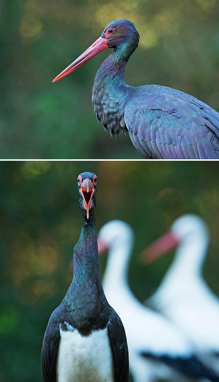 995FA24F5FF655F60BA0A7