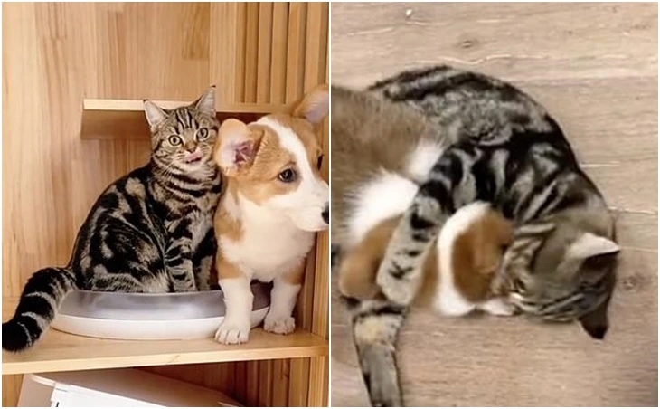 99C026485FD177330A8B35