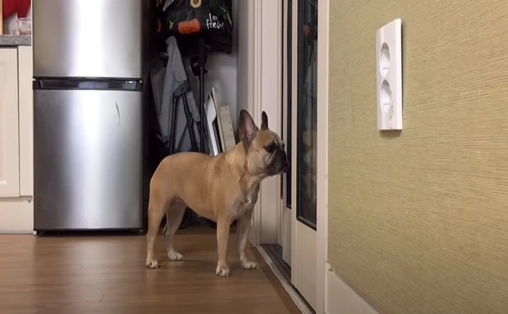 992B593F5FF249990C61EA