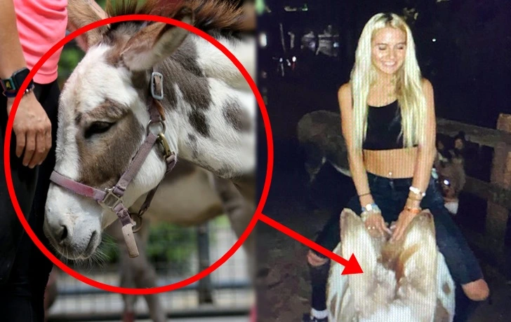 99813D3D5F7BA83D125686