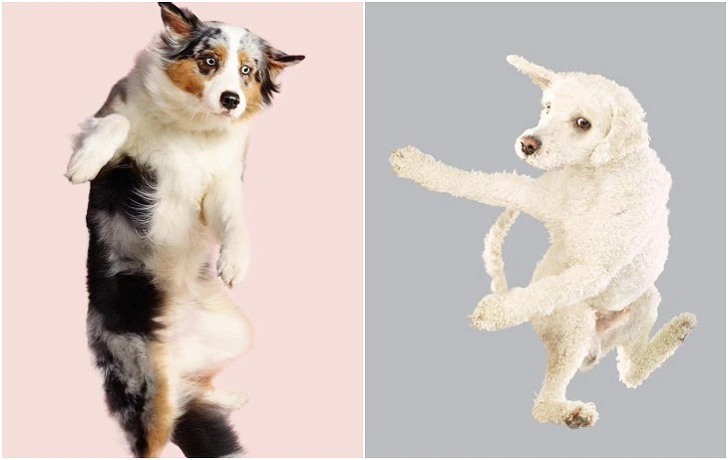 9977CA4B5F2666480DC822