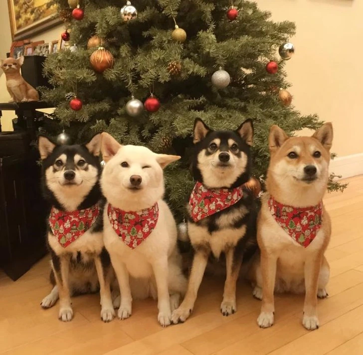 990353445F5BFBD90DE008