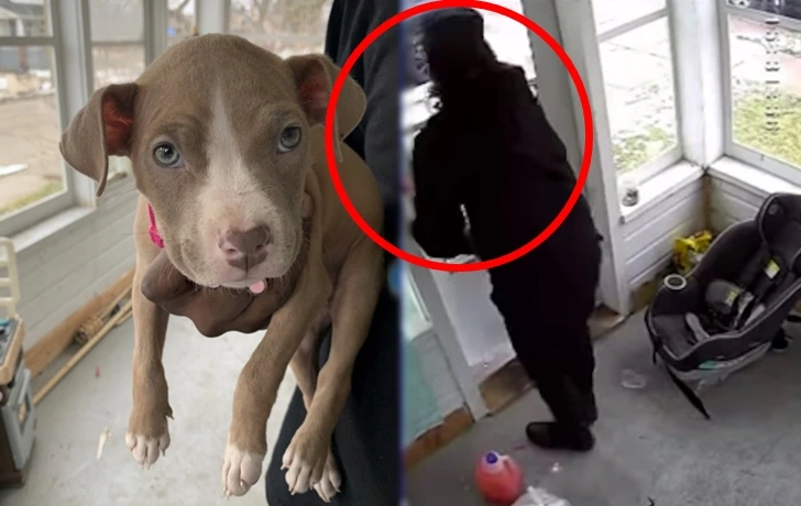 991FF24460026CC009387B