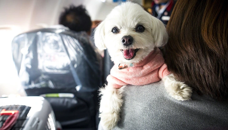 99D698405D3C63CD0CCE9D