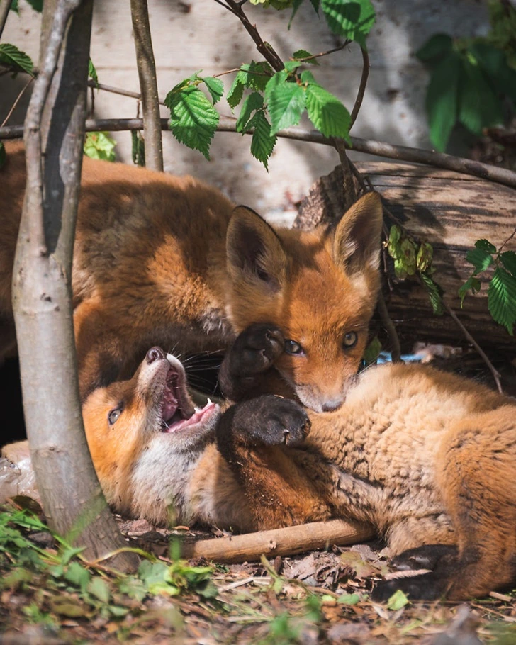 993D284D5F49A1BC0F2B8F