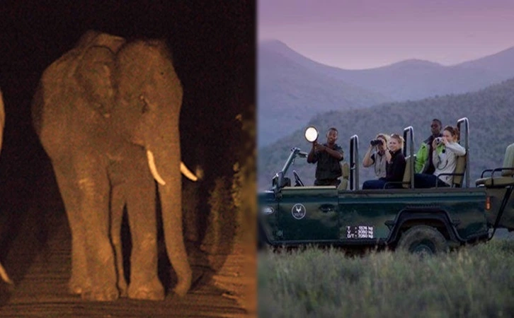 99C65D3D5FEA5D6D06F28B