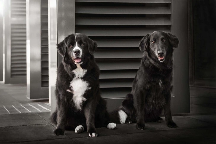 99CFBA4C5F75512816CDBC