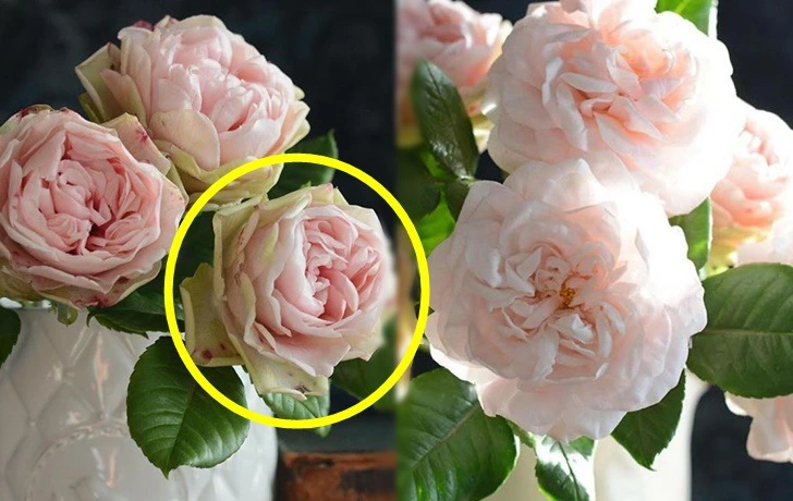 9996023E5F5177A314D037