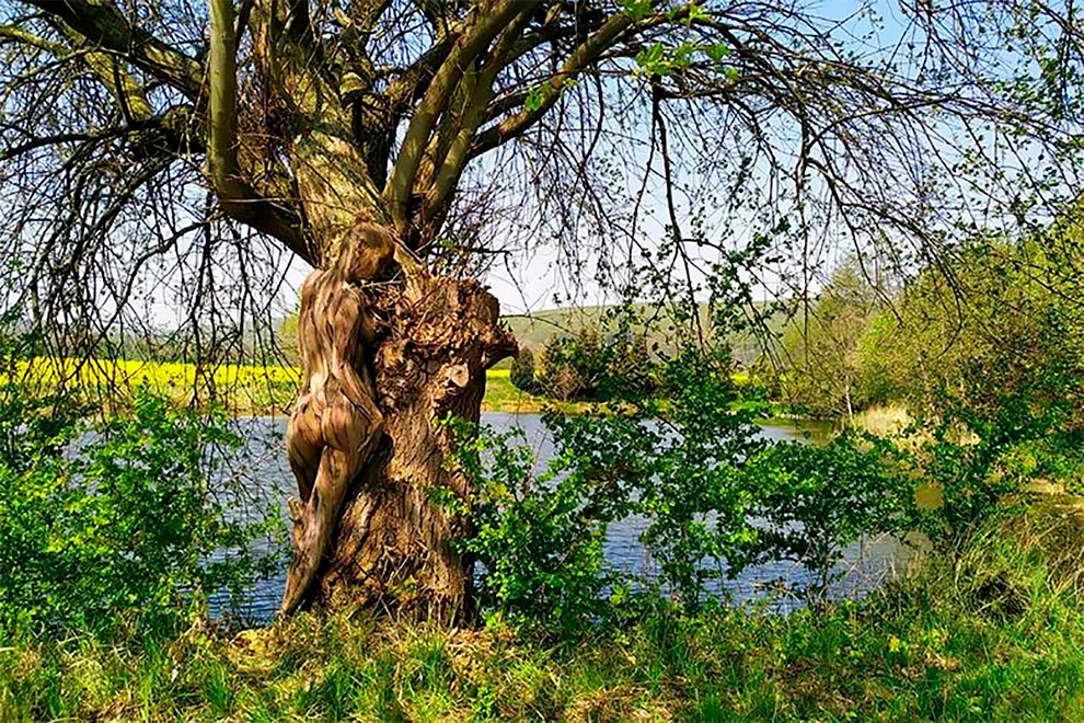 99B6BB435F51CF040E7377