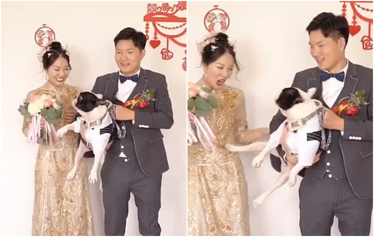 992E23445FCC88F41996BD