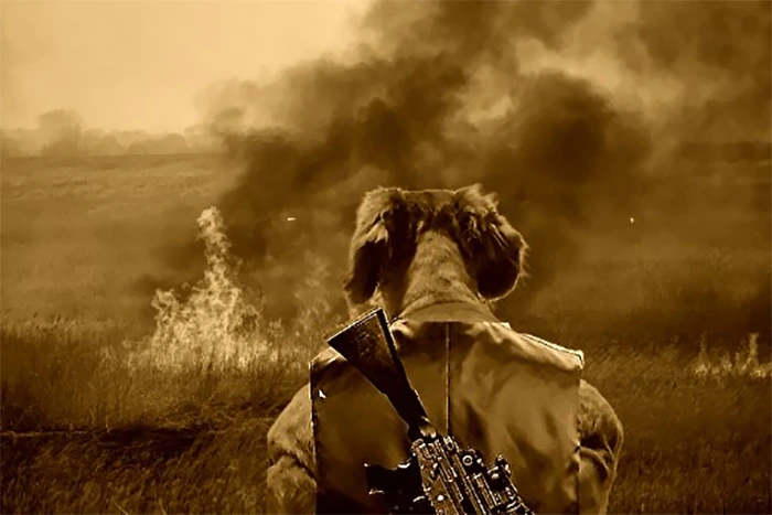 99AFE2455F2A4DBF13E773