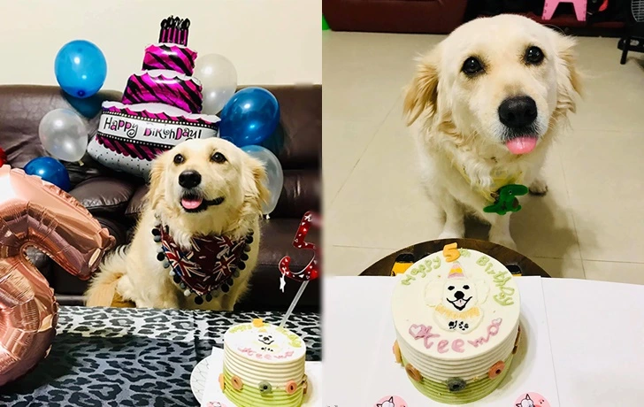 9996CA495F72AD4D25F1BD