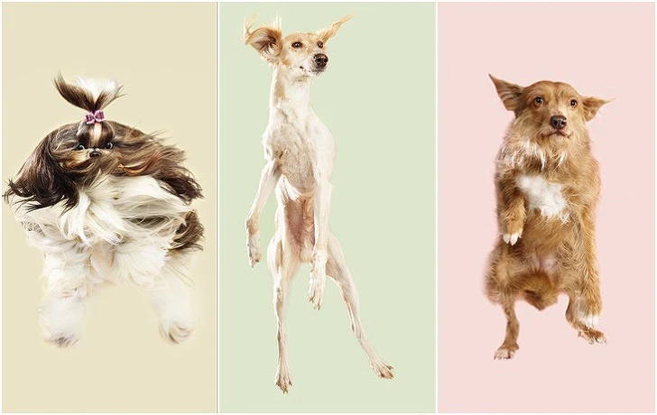 99A805455F2666EB0A51A1