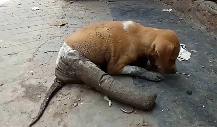 992089445FFA562708B149