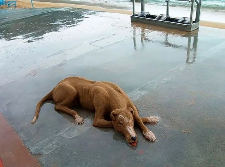 9961C3375F30C06931EB42