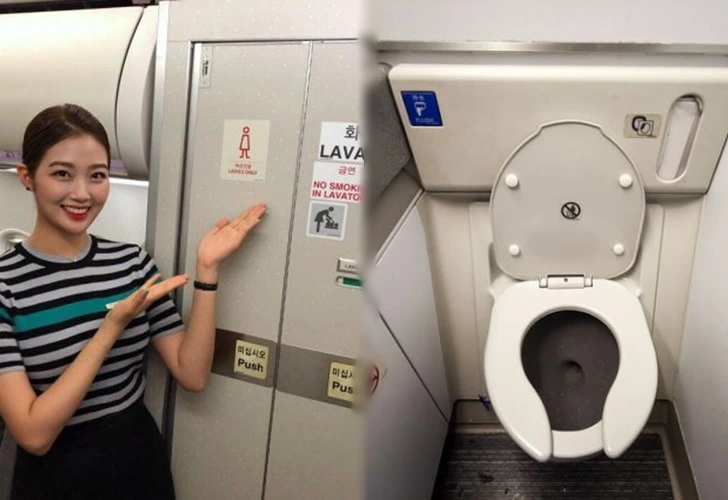 9951DA395E4B41EB0407B6