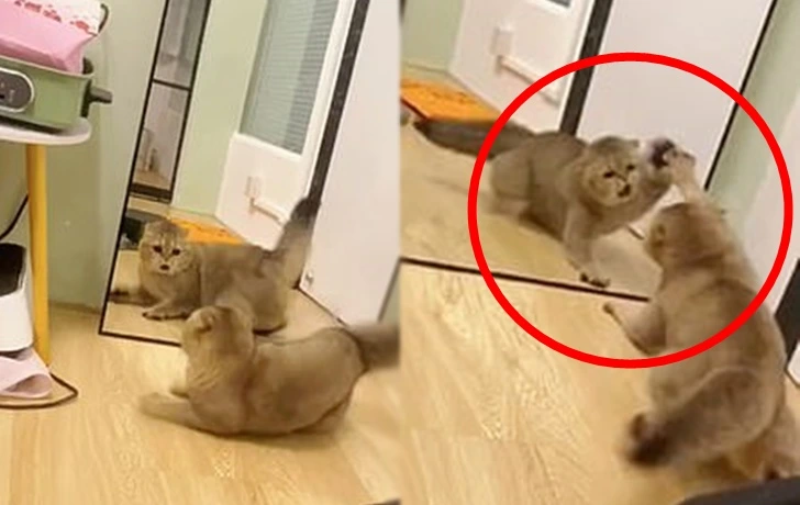 9966BA4C5FCEE41010413F