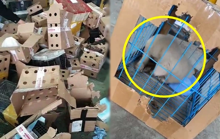 999AD03F5F76969B147195