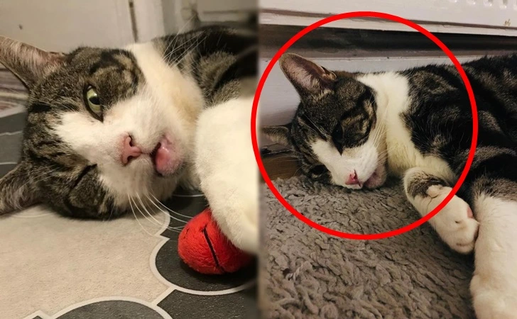 99B9C2495FFE624F0E72B4