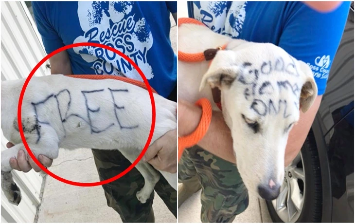 99B8AB375F79734534634F