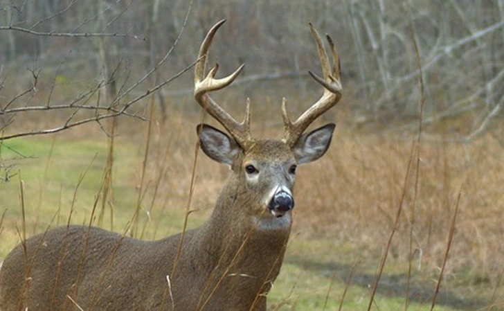 99437B4A5FEC239721D173