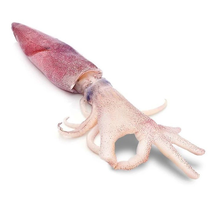 995DAD345F222EC724FA22