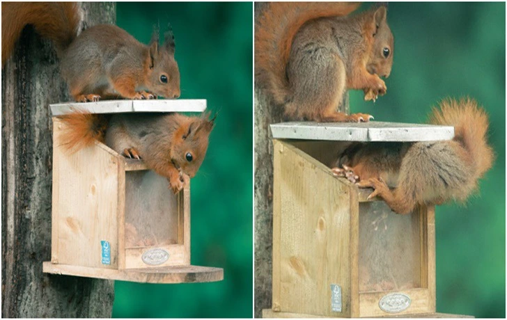 994B51385F44CA362CB3C1