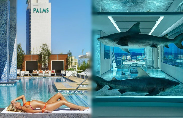 99DC0B395EEEC22923C919