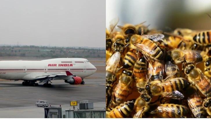 9980AF4F5D89F77334AABA