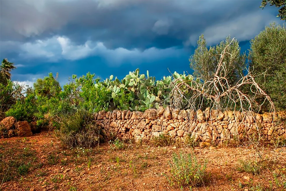 99C2AB3B5F51CF040B2A76