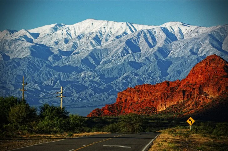 99D4D5425C2B6641058882