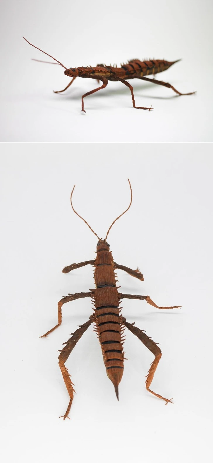 997707405D273721168451