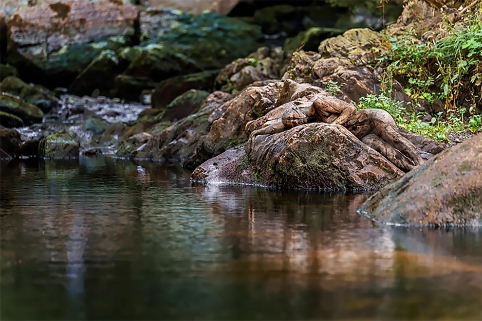 99E2643C5F51CF050E0FDD