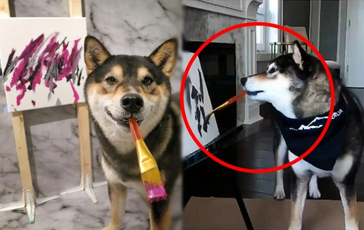 99540C39601730330768C6