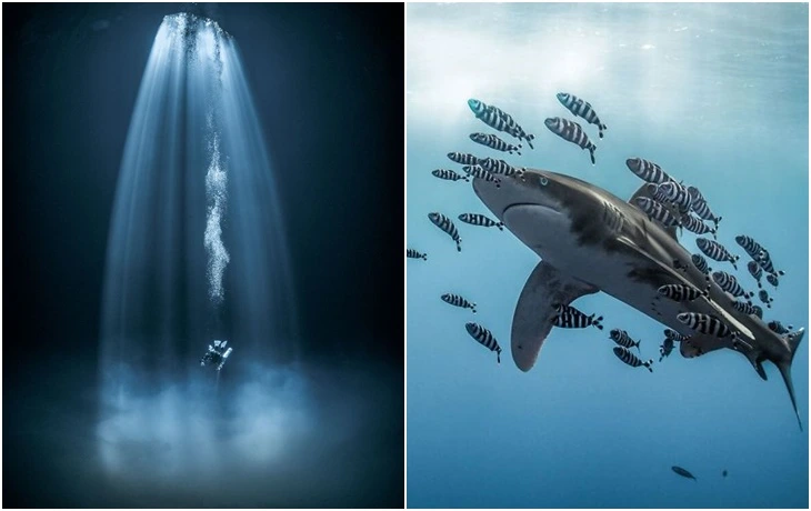 9915E5505F6A77AC0B79C1