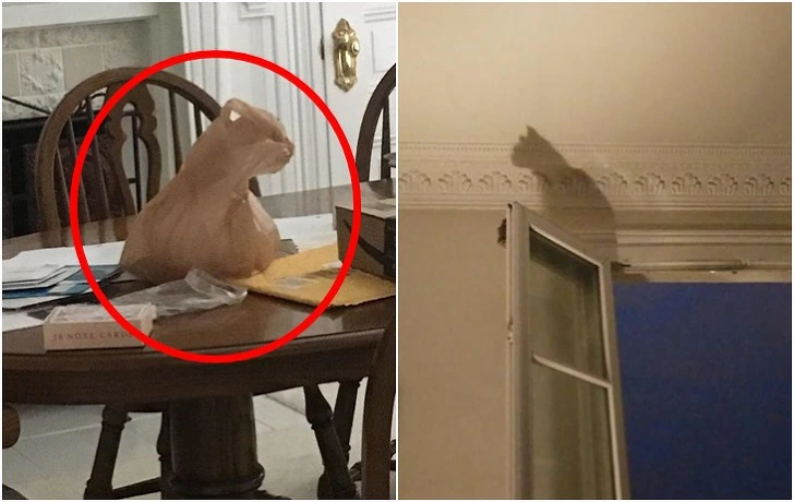 9998E6445F3FC9290B200A