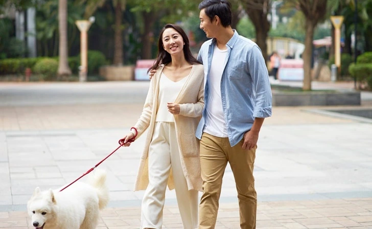 99681C3F5FB5028F0E4141