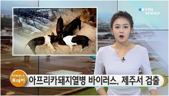 999F95465CCF028A1B3AF7