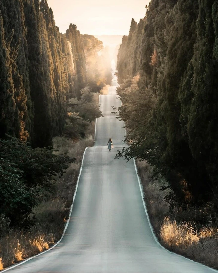 9905E4455FB09CBD18129C