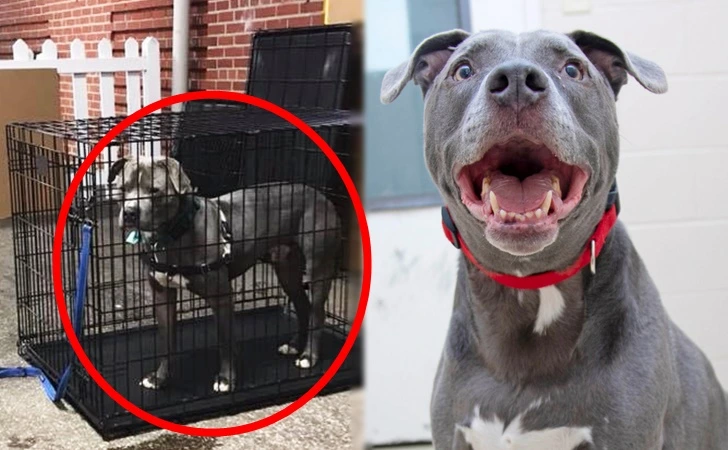 992C954B5FFC184B1CFB61