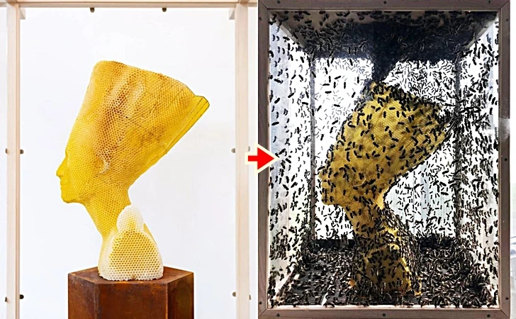 998CBB3E5FFF993406D29F