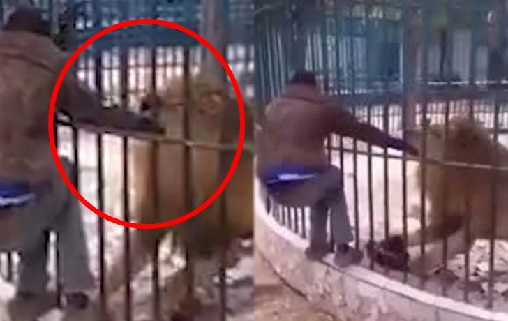 996D73485FD69B530C22A3