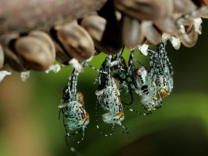 995993445F22256E21340A