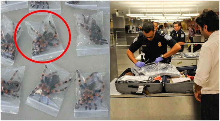 9924C8455D7CBF8A0995C3